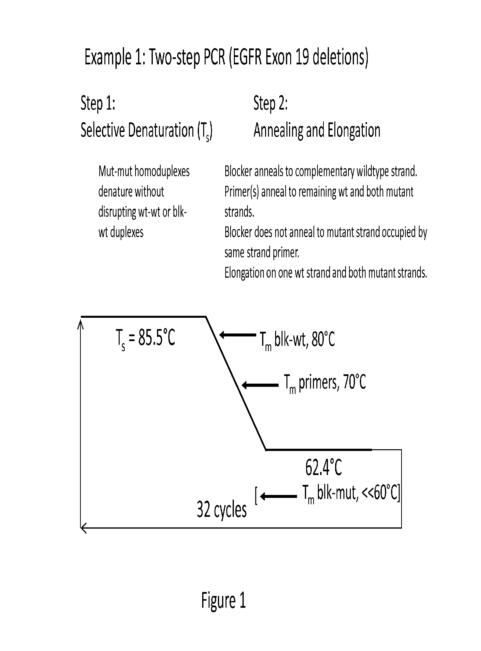 Synthesis and enrichment of nucleic acid sequences