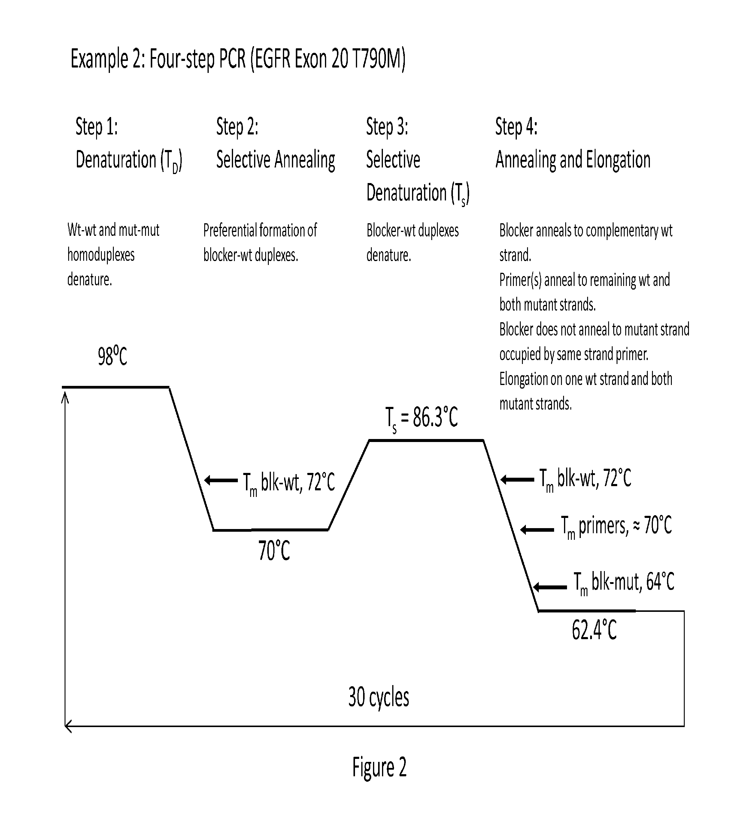 Synthesis and enrichment of nucleic acid sequences