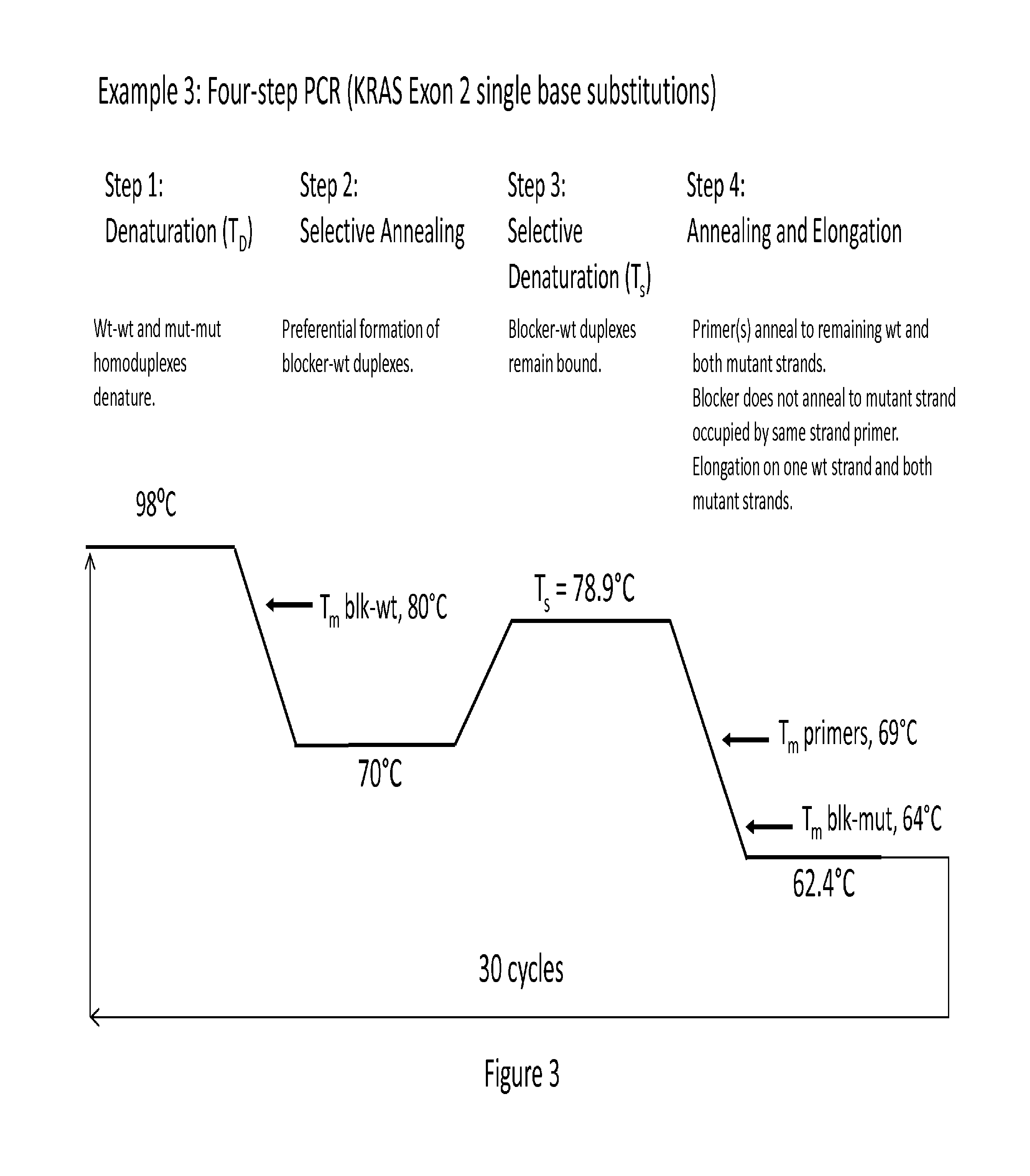 Synthesis and enrichment of nucleic acid sequences