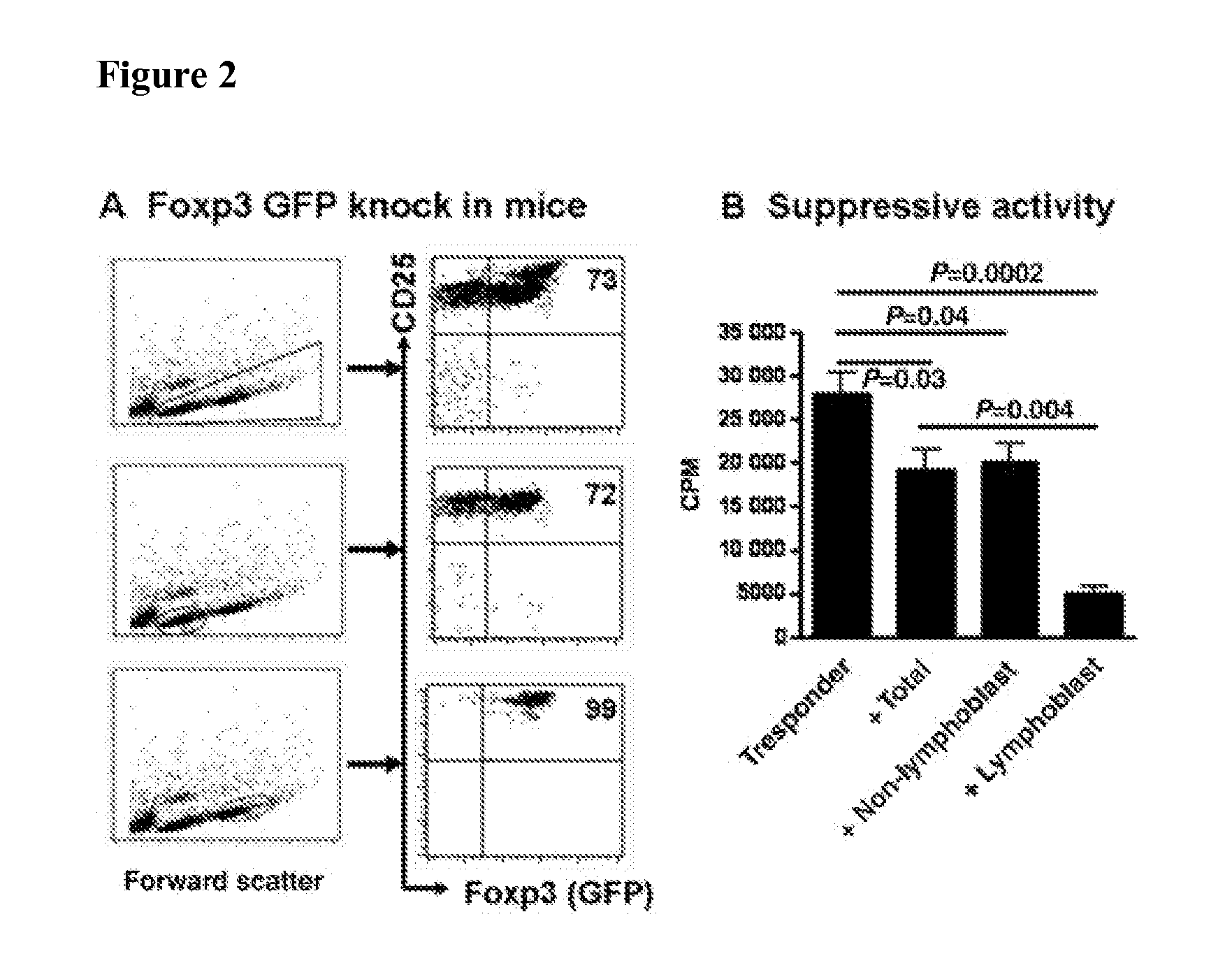 Methods for the enrichment of viable foxp3+ cells and uses thereof