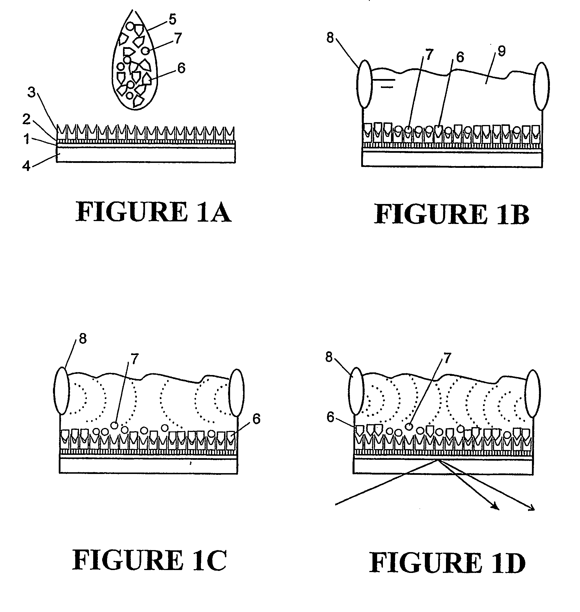 Biosensors for Detecting Bond Rupture