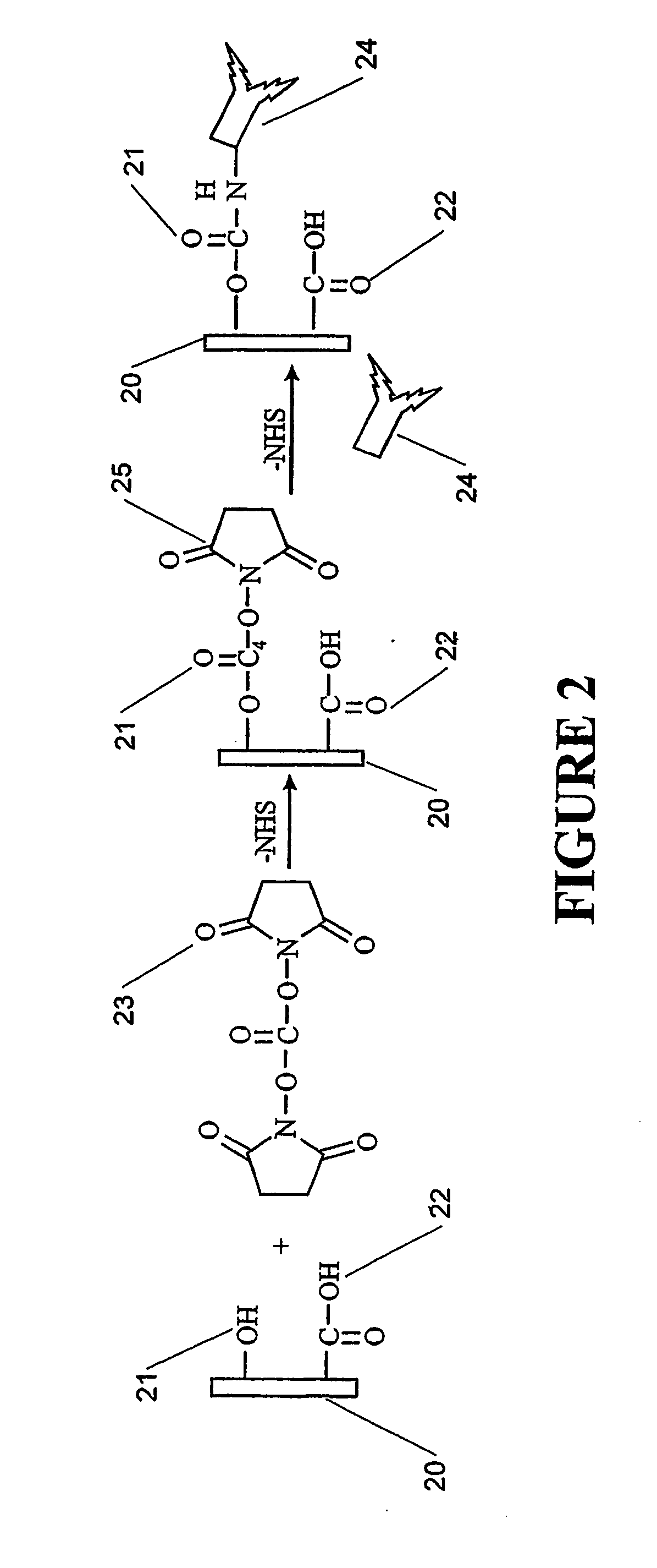 Biosensors for Detecting Bond Rupture