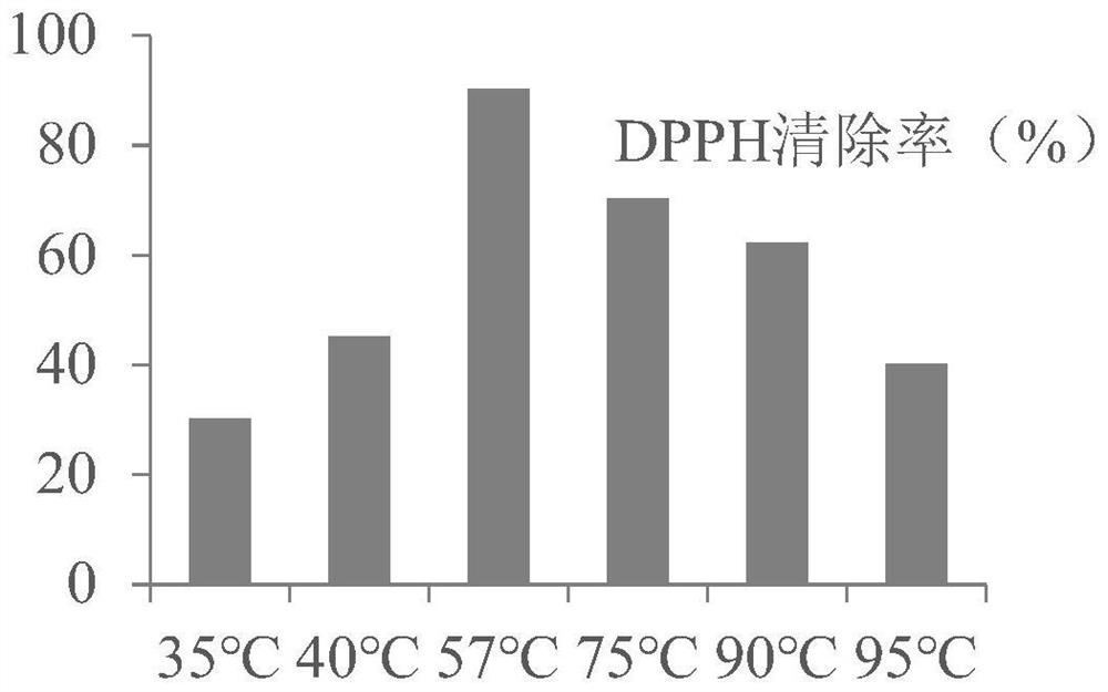 Comfrey extract for cosmetics and preparation method thereof