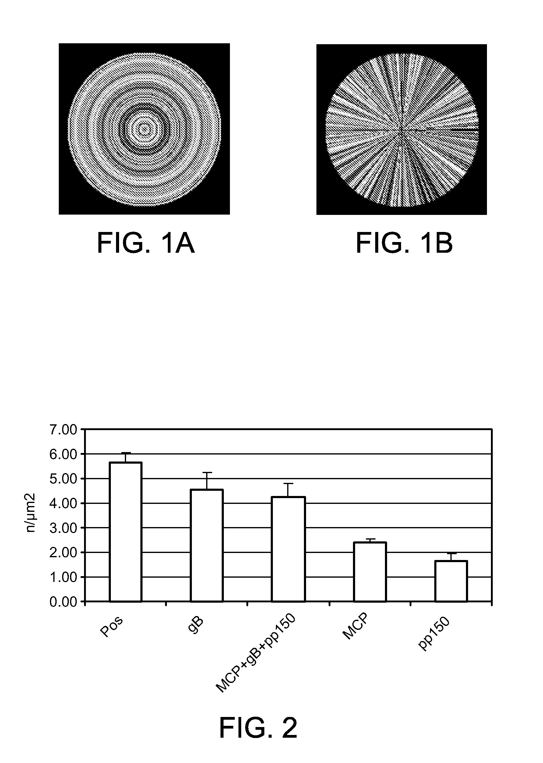 Method for counting and segmenting viral particles in an image