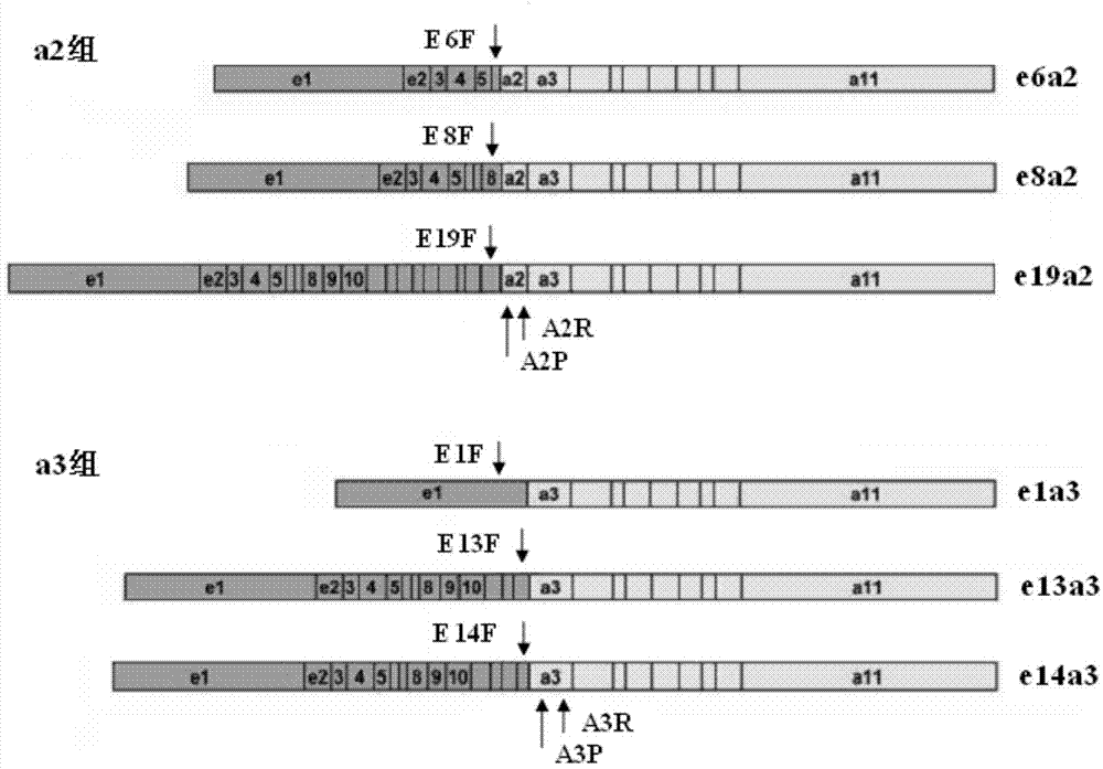 Method, primer, probe and kit for screening and identifying BCR-ABL unusual fusion types