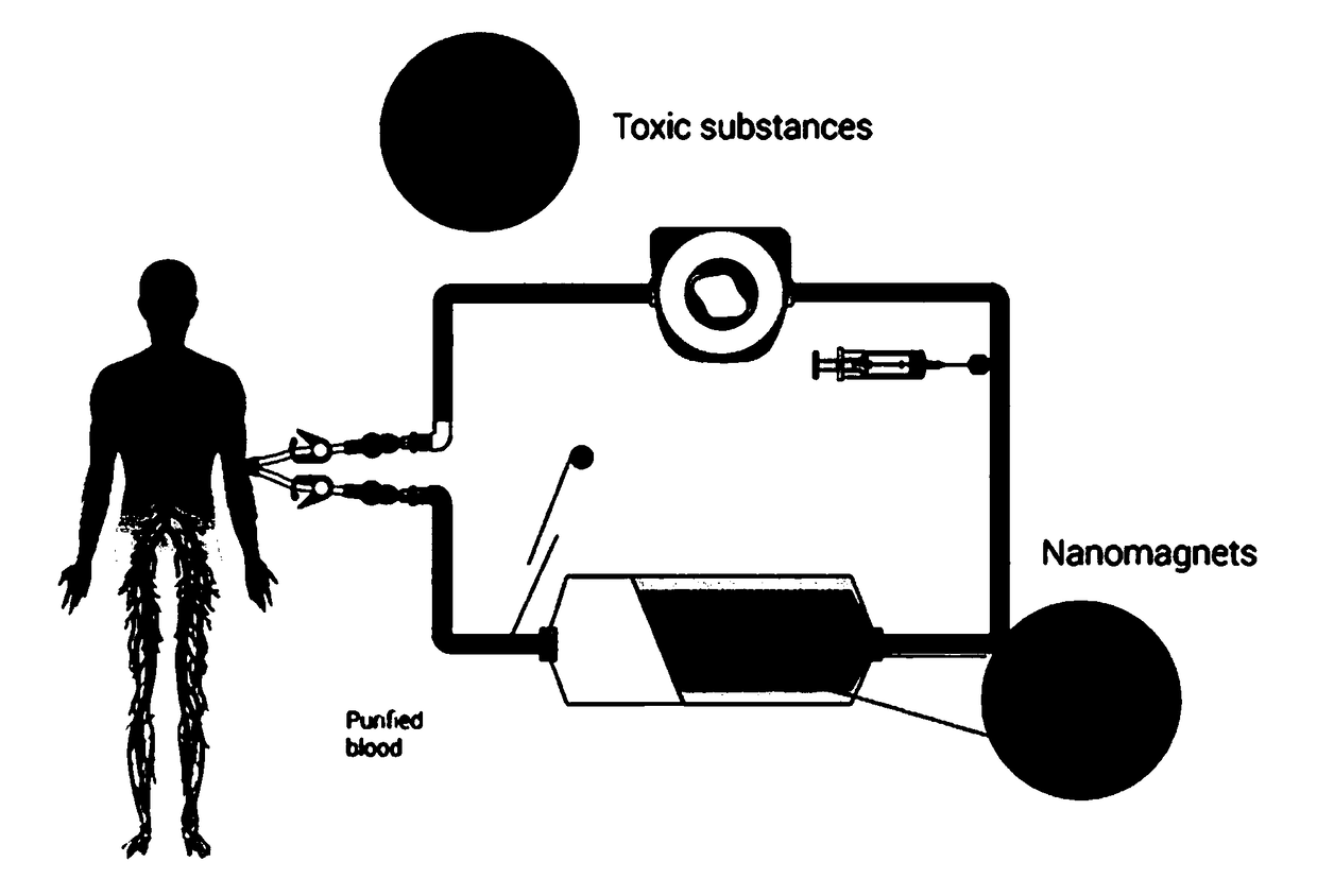 Magnetic microsphere carrier used for adsorbing endotoxin and preparation method thereof