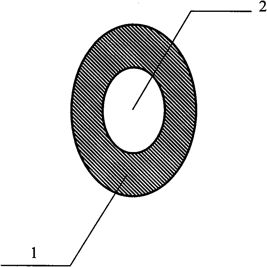 Femtosecond laser direct writing sapphire ring light guide and preparation method thereof