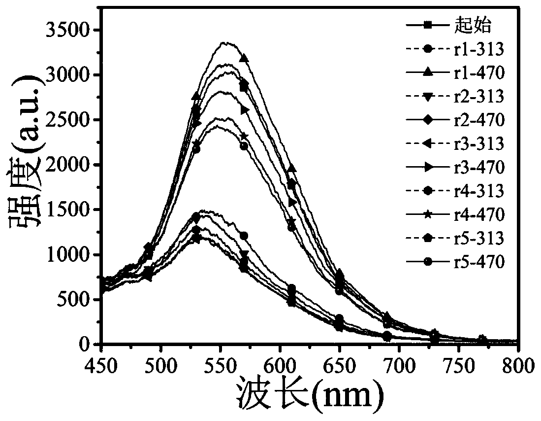 Fluorescent switch system, preparation method and application