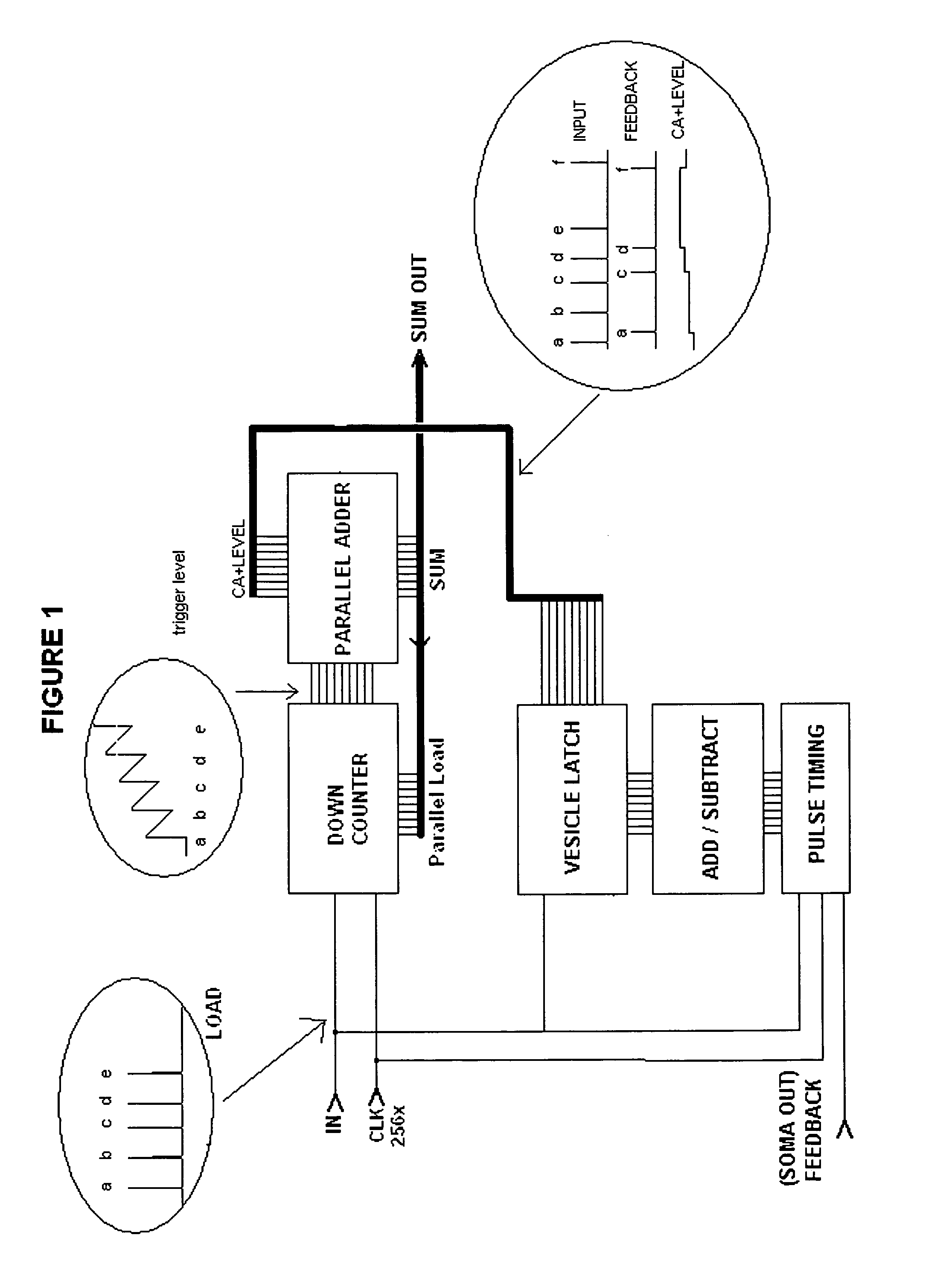 Autonomous learning dynamic artificial neural computing device and brain inspired system