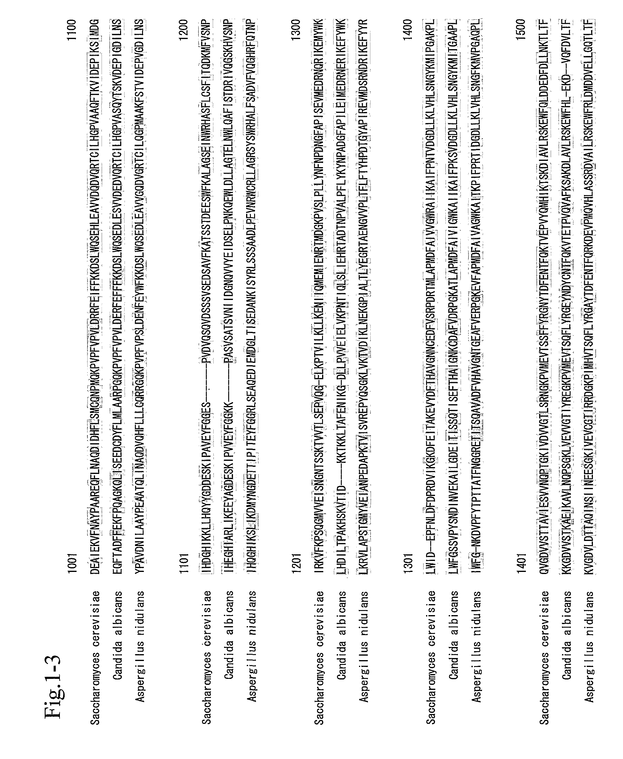 Fatty acid synthetase, polynucleotide encoding the same, and uses thereof