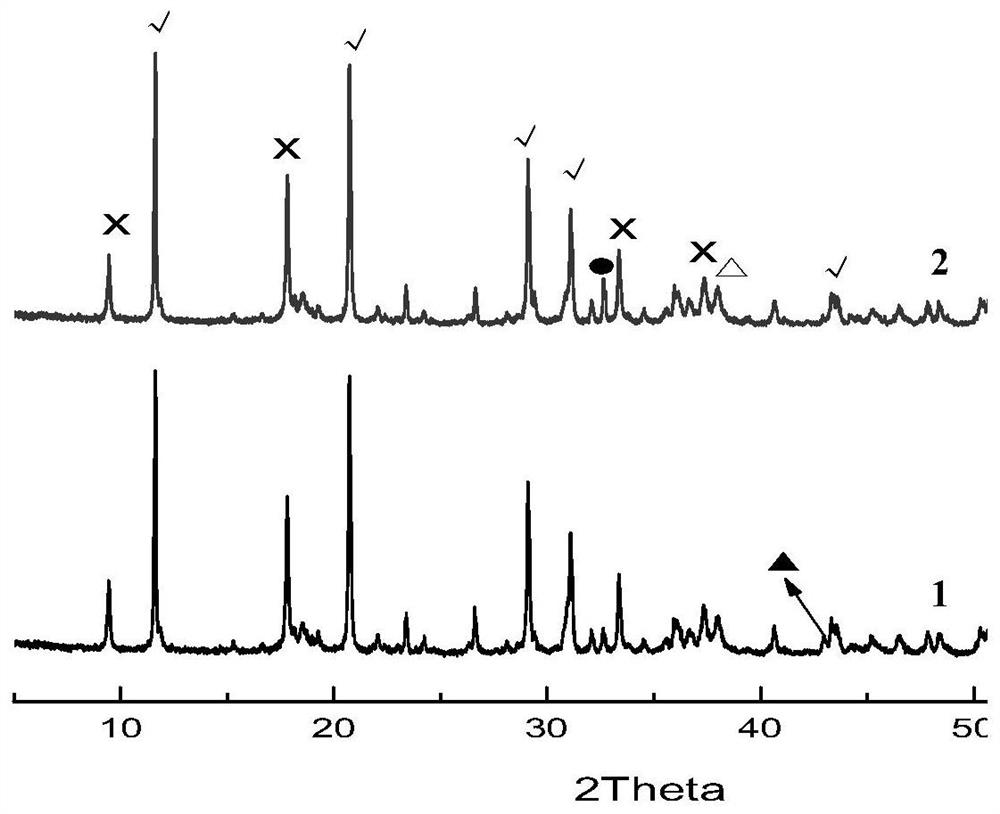 A kind of calcium and magnesium sulfate double salt cementitious material and its preparation method and application