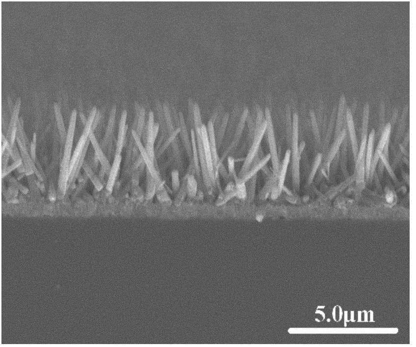 Preparation method of ZnO-CuInS2 heterogeneous core-shell structure nanorod array