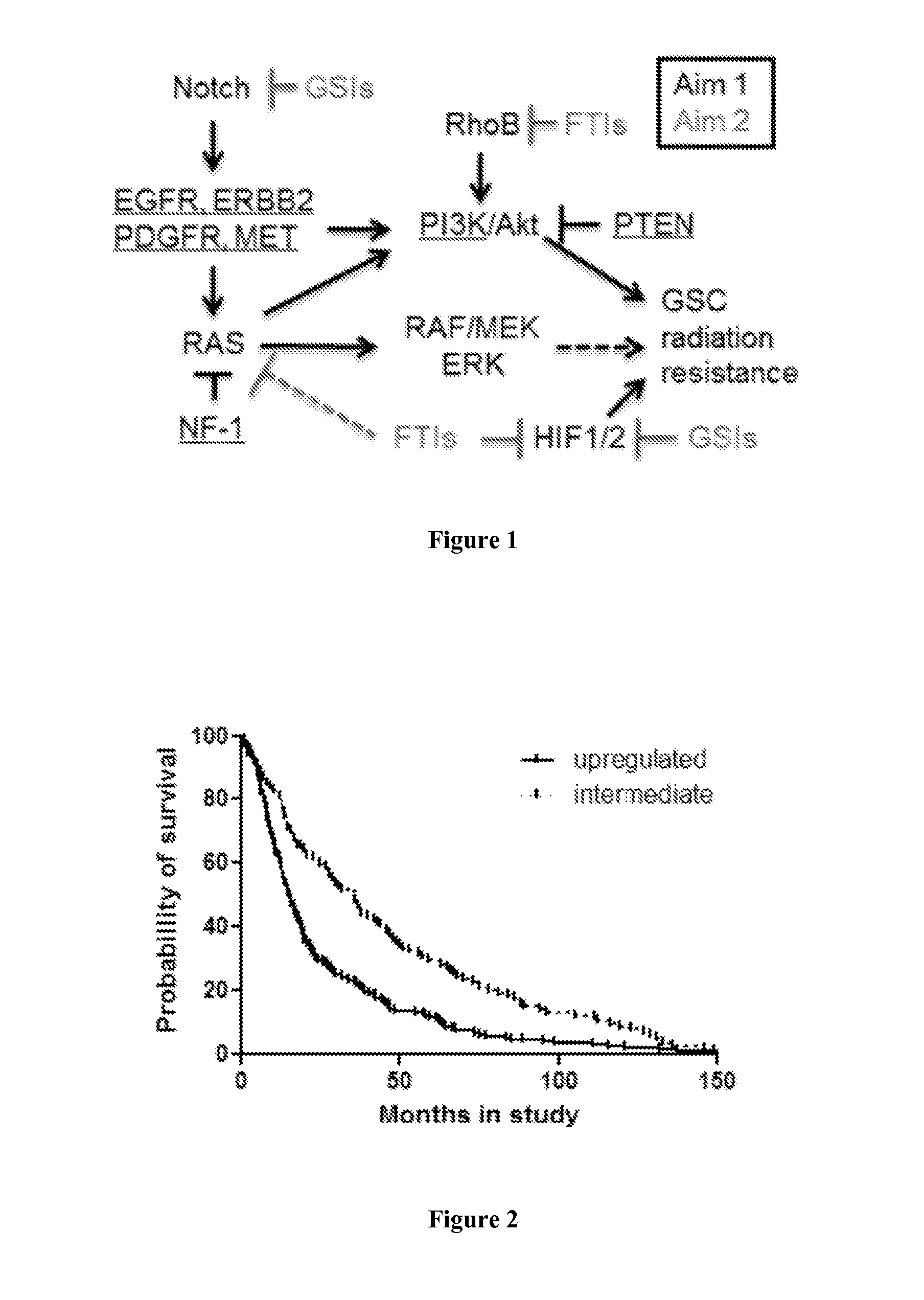 Compositions and methods for targeting glioblastomas cells