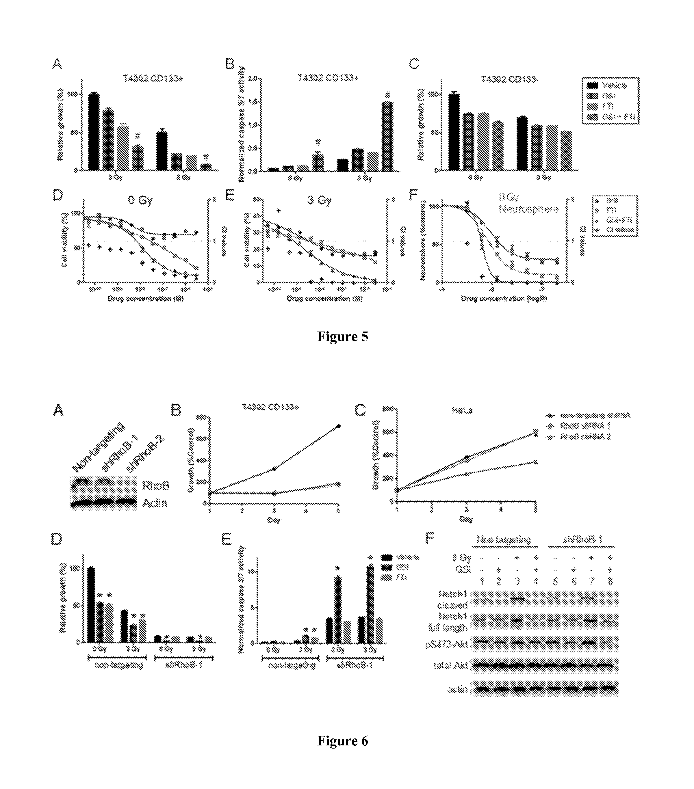Compositions and methods for targeting glioblastomas cells