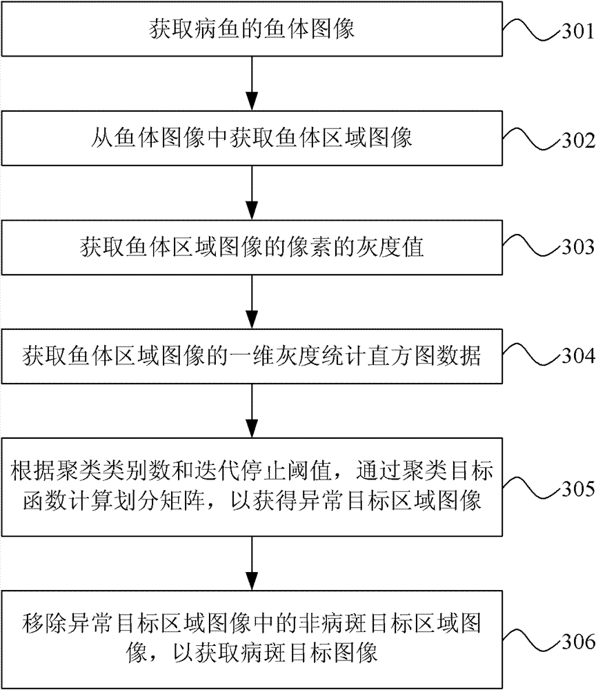 Method and system for processing image of diseased fish body