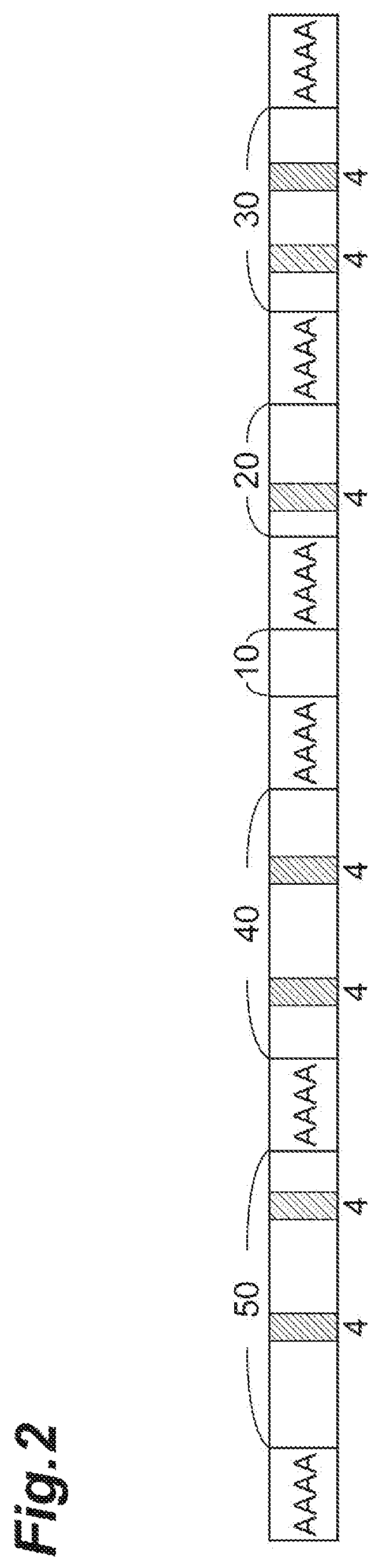Method and device for manufacturing protein fiber