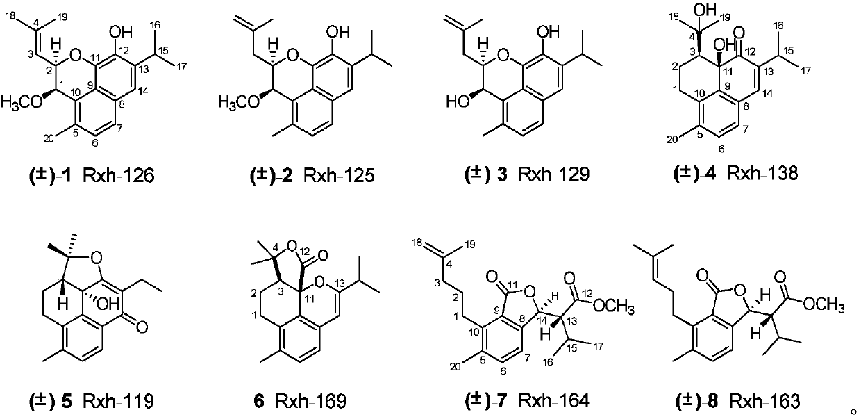 Series of open-loop abietane diterpene compounds, and pharmaceutical compositions and application thereof in pharmacy