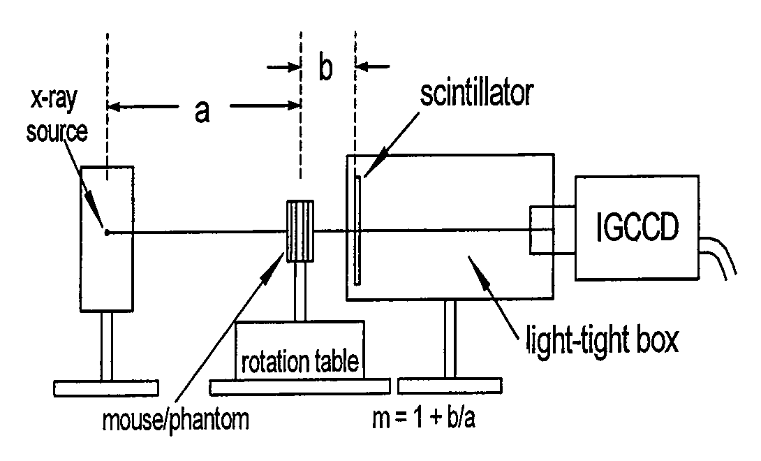 Micro CT scanners incorporating internal gain charge-coupled devices