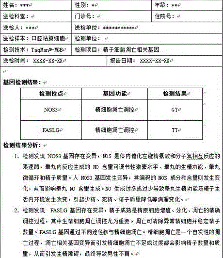 Gene detection method for transcriptional regulation related gene of spermatoblast