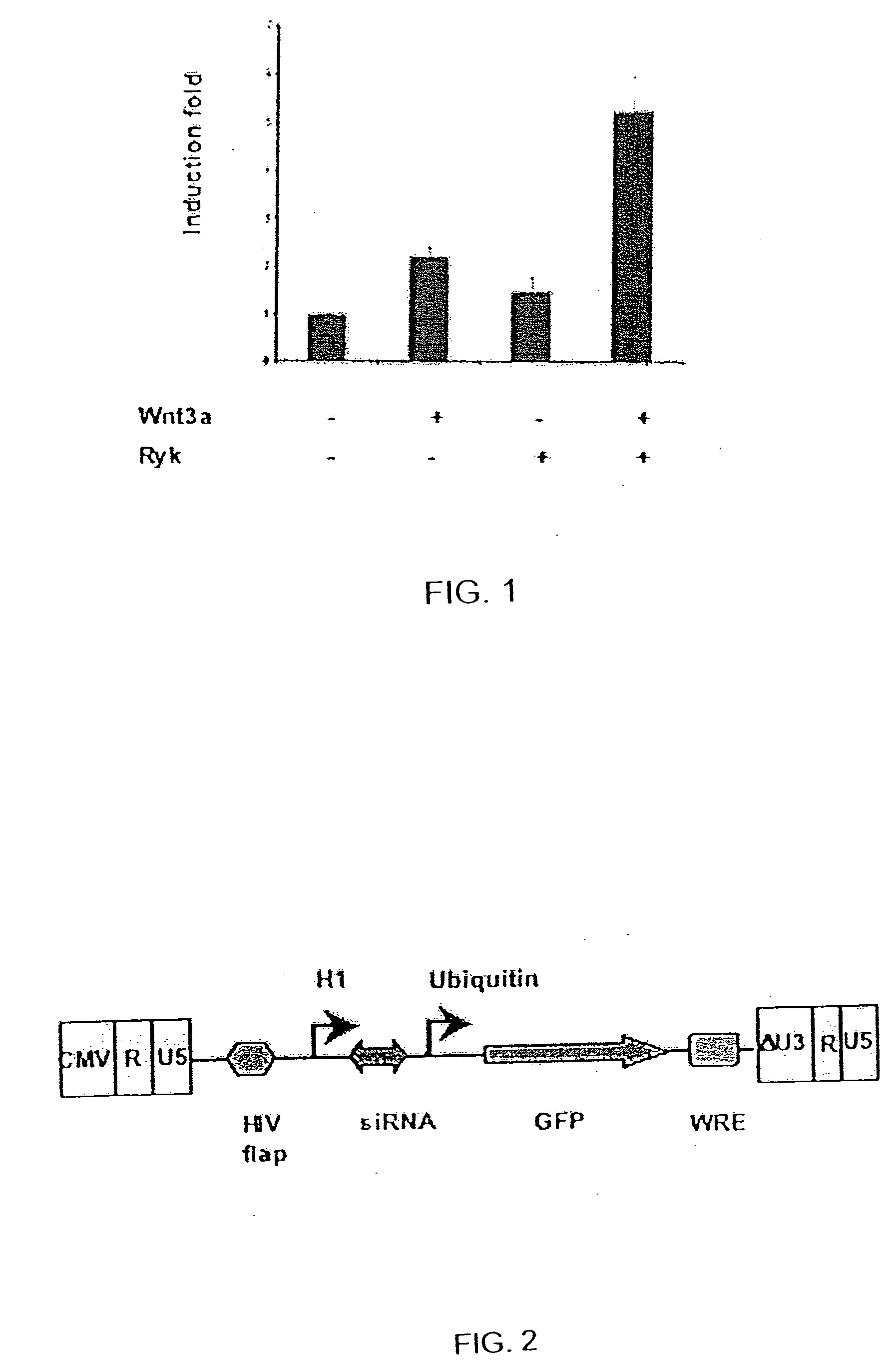 Compositions for inducing cell growth and differentiation and methods of using same