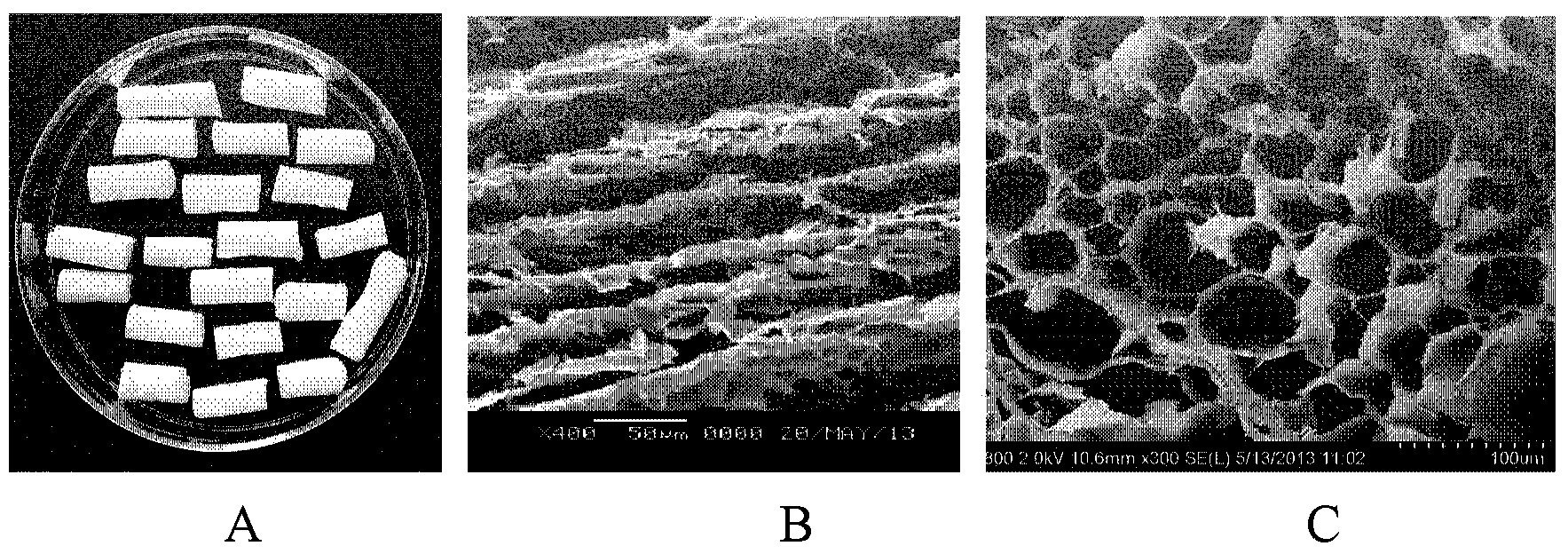 Hyaluronic acid-orientated channel composite bracket material used for spinal cord injury repair
