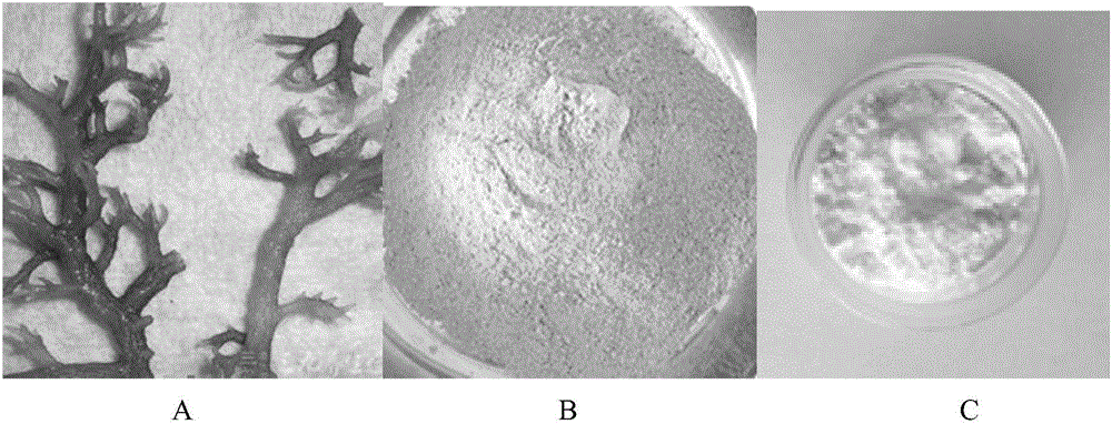 Processing method of apple and carrot juice