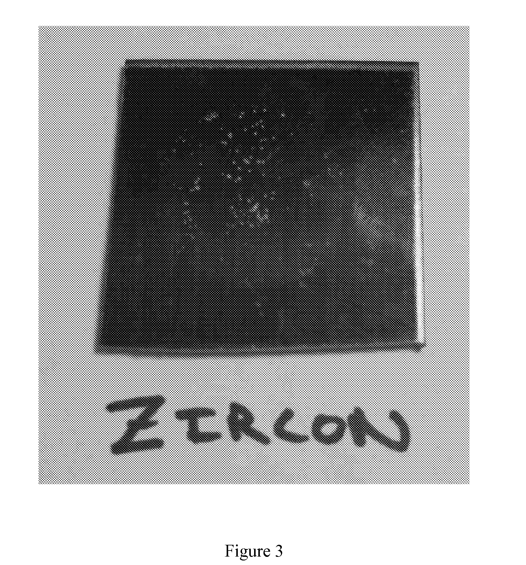 Methods For Providing Prophylactic Surface Treatment For Fluid Processing Systems And Components Thereof