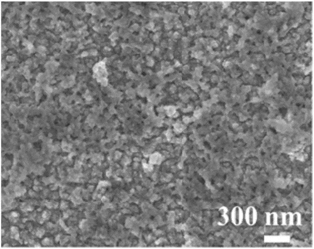 Preparation method of NiCu film supported nano-Pt composite catalyst for electrooxidation of ethanol