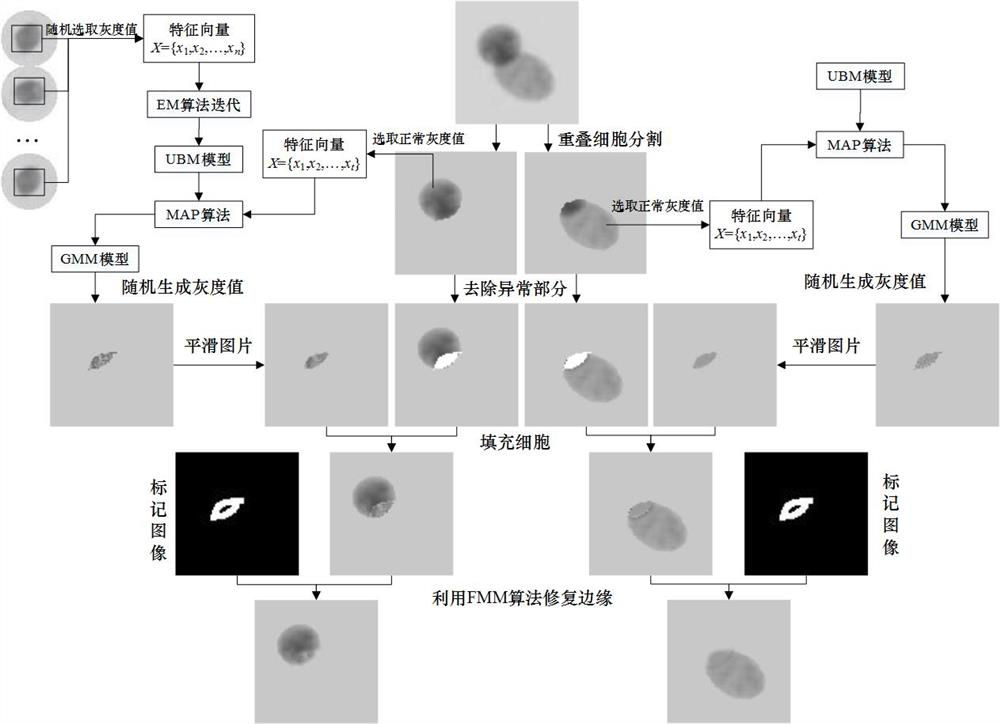 Abnormal Pixel Reconstruction Method after Overlapping Cell Segmentation