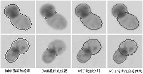 Abnormal Pixel Reconstruction Method after Overlapping Cell Segmentation