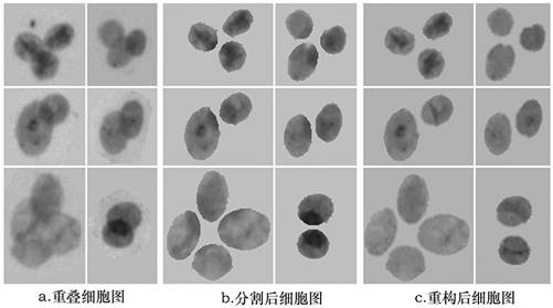 Abnormal Pixel Reconstruction Method after Overlapping Cell Segmentation