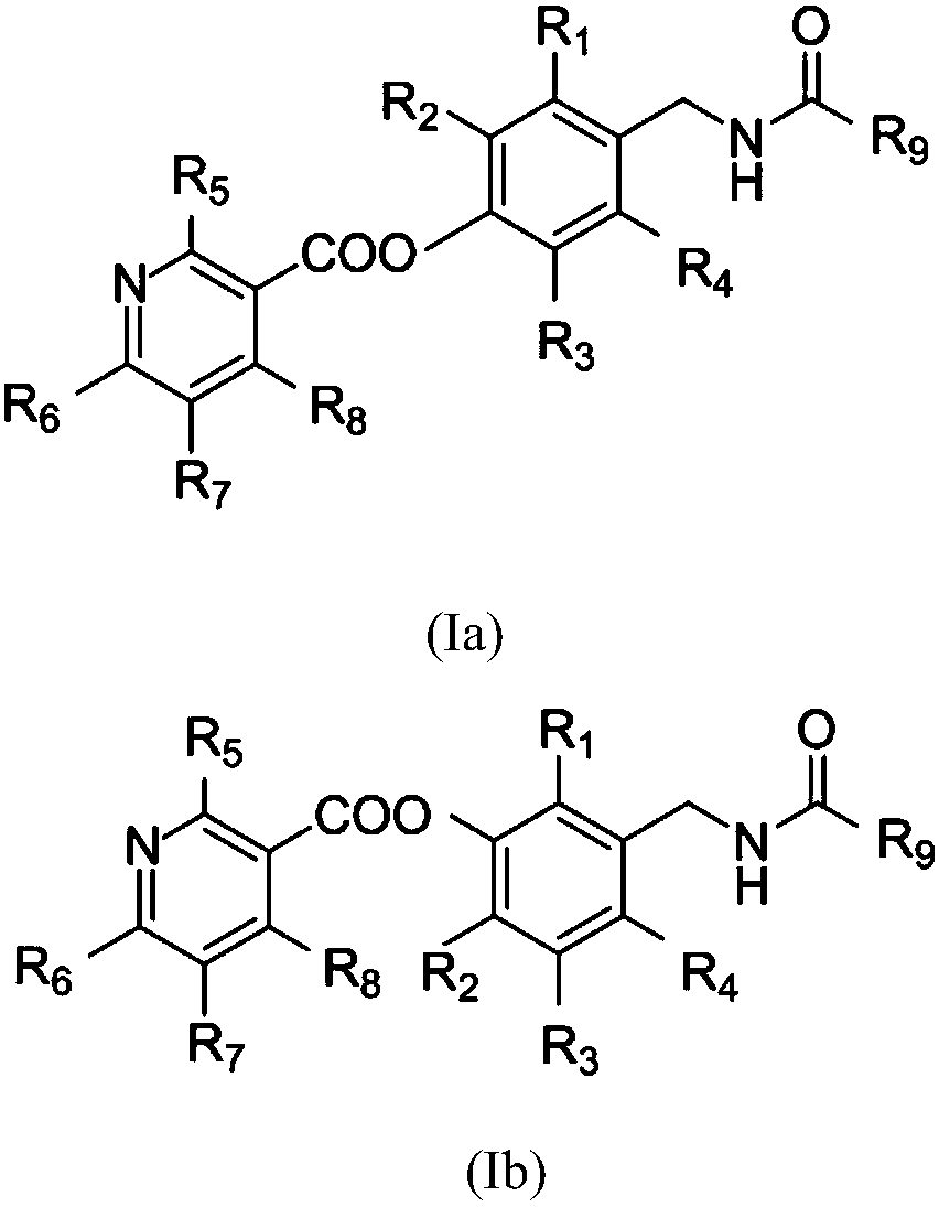 Nicotinic acid-containing capsaicin ester derivative, preparation method and application thereof