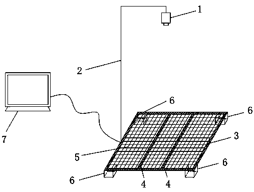 Field counting and weighing method and system for chicken