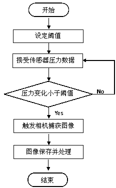 Field counting and weighing method and system for chicken