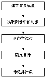 Field counting and weighing method and system for chicken