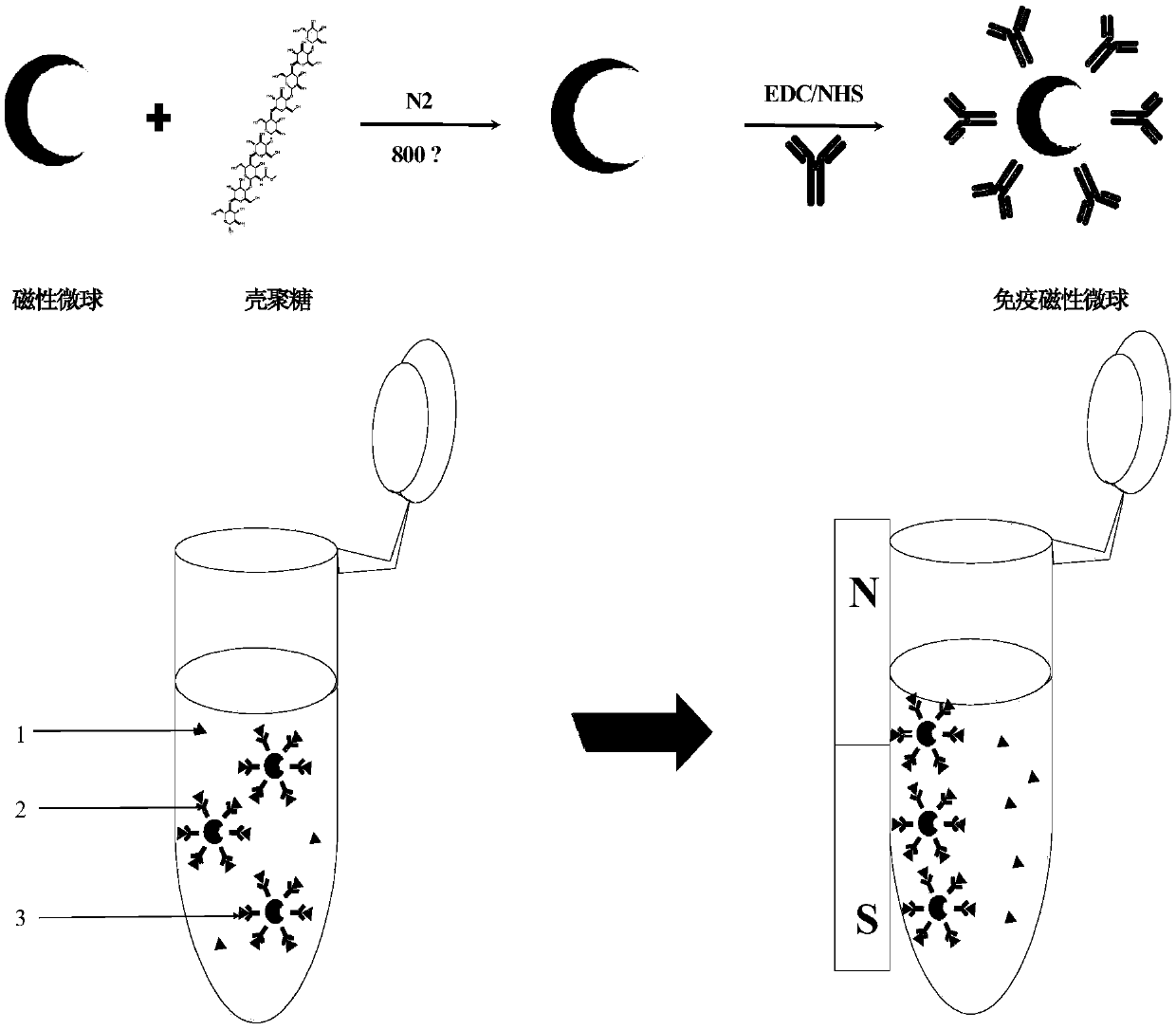 Indirect background fluorescence colloidal gold immunochromatographic test strip based on double-labeled signal amplification and application thereof