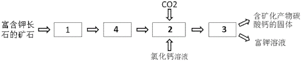 CO2 mineralization method for co-producing potassium-rich solution