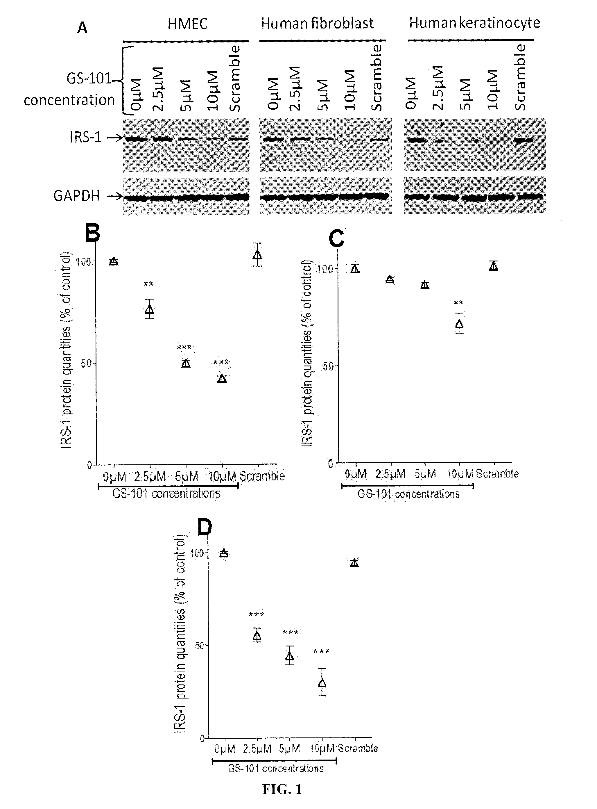 Inhibitor of IRS-1 for Treating Skin Disorders