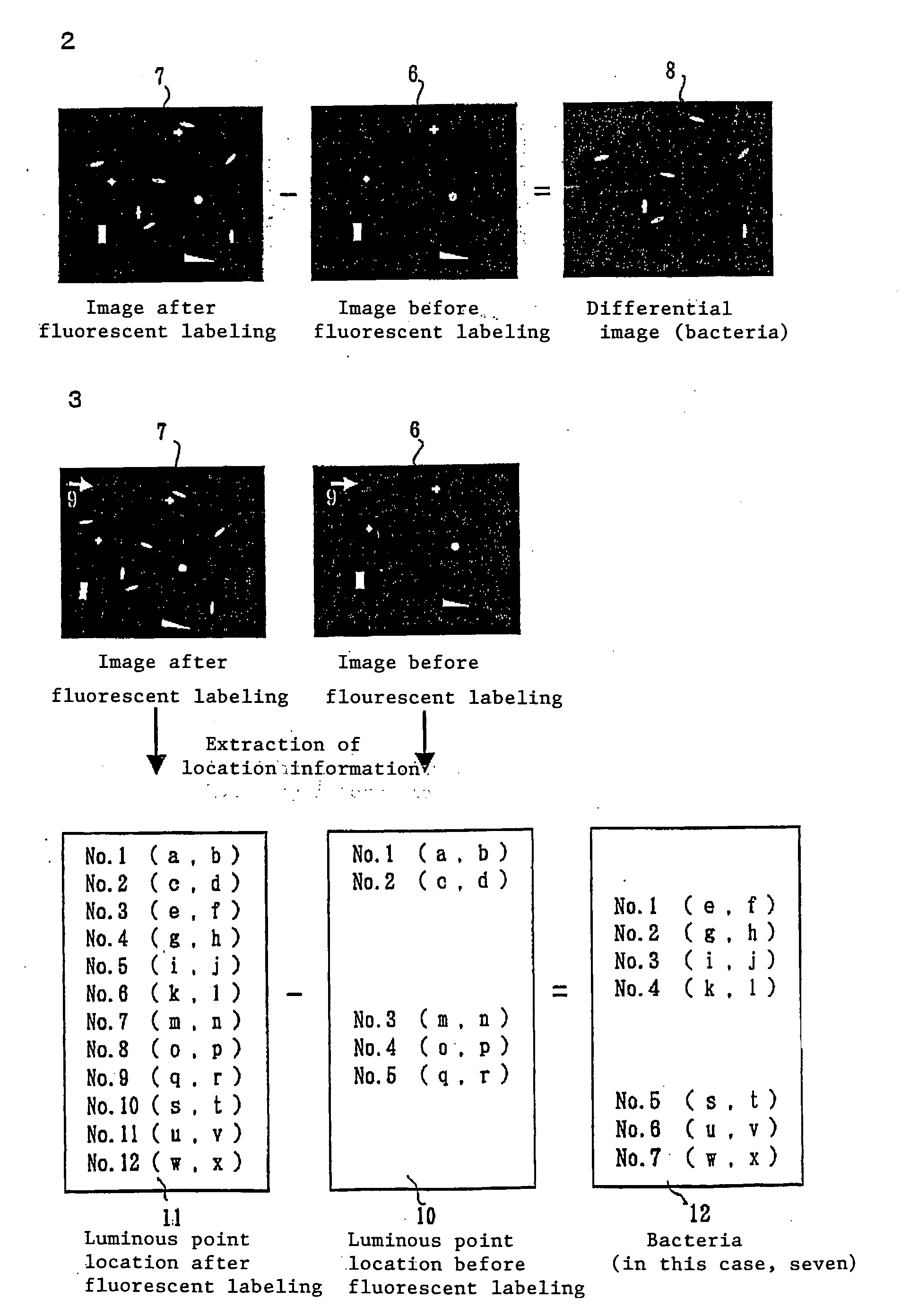 Method of counting microorganisms or cells