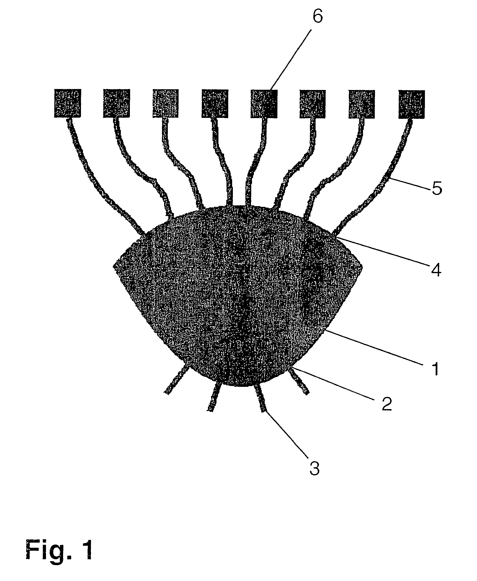 Waveguide structure for creating a phase gradient between input signals of a system of antenna elements