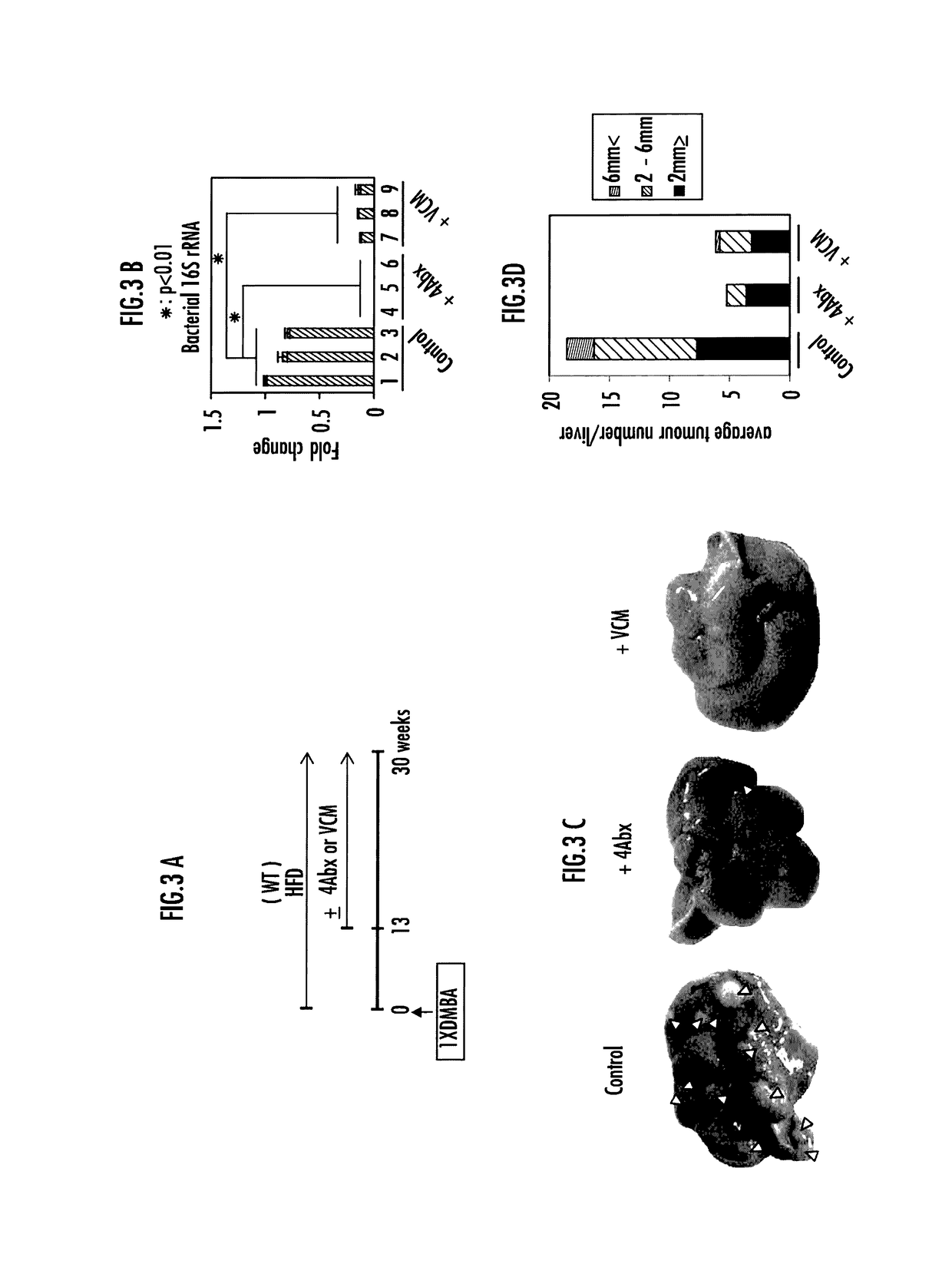 Method for examination of carcinogenic risk