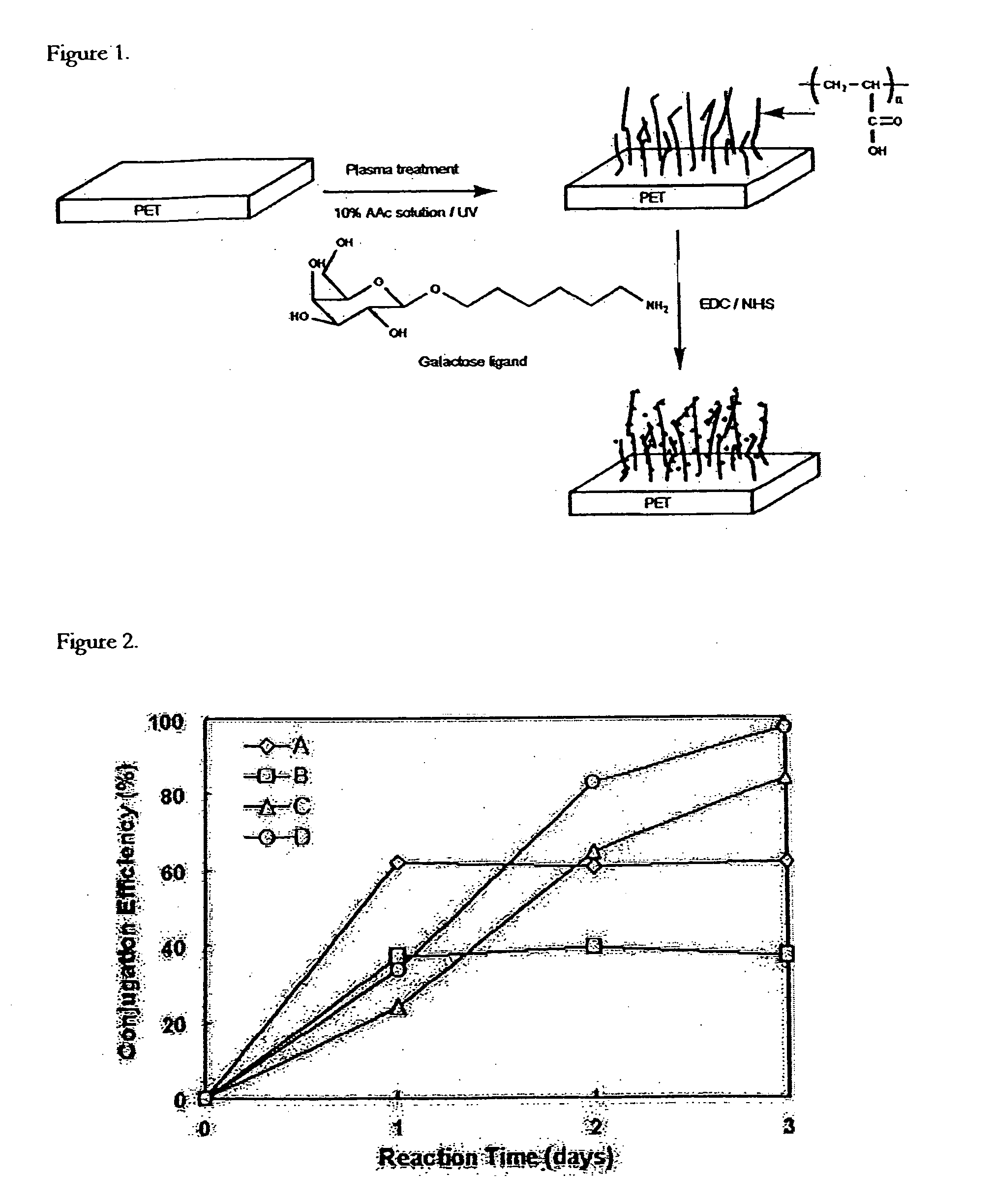 Method of immobilization of clusters of ligands on polymer surface and use in cell engineering