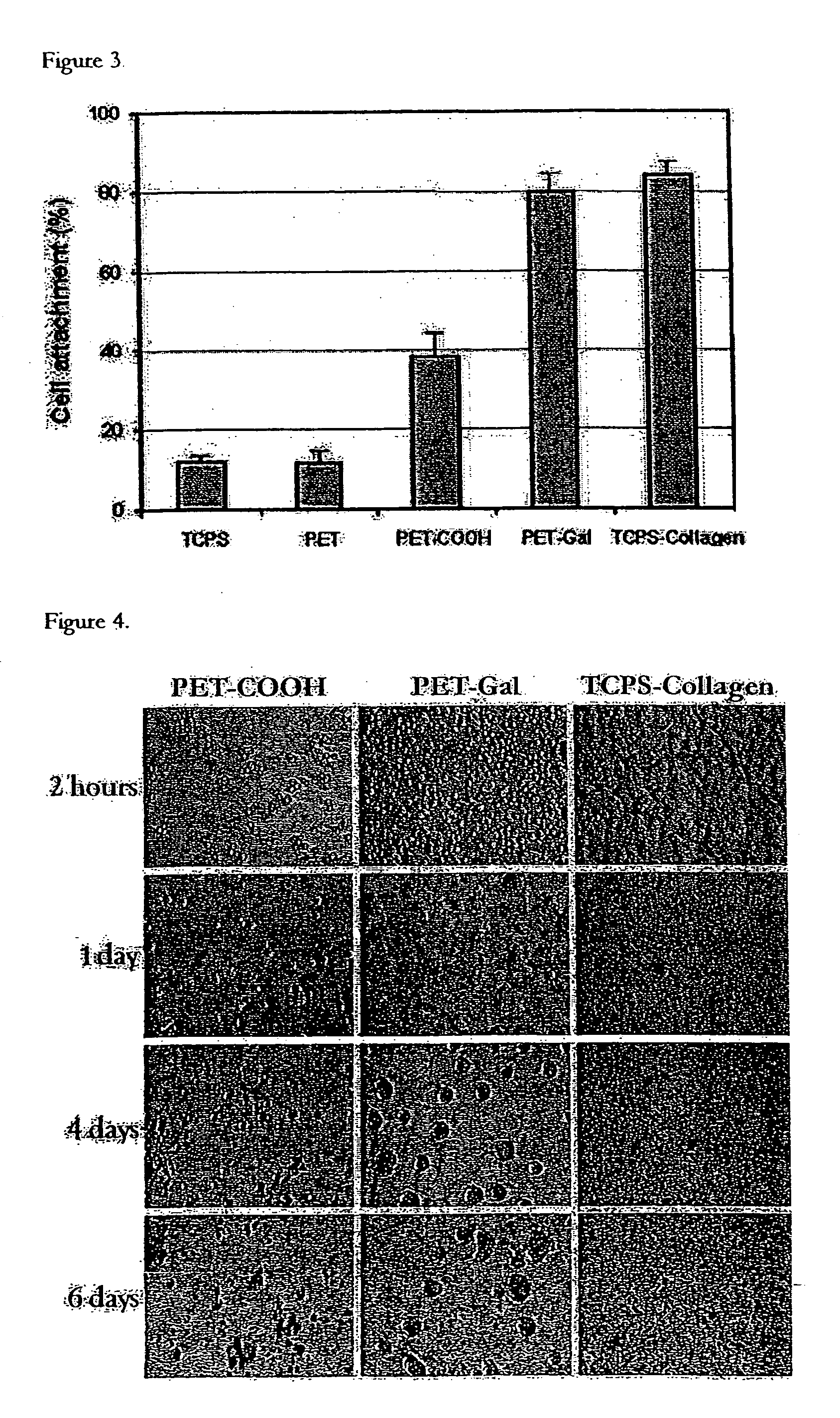 Method of immobilization of clusters of ligands on polymer surface and use in cell engineering