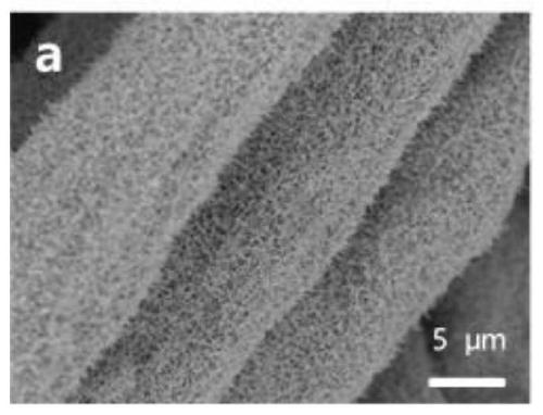 Phosphorus-doped tungsten sulfide@tungsten oxide porous core-shell nanowire flexible array electrode and preparation method thereof