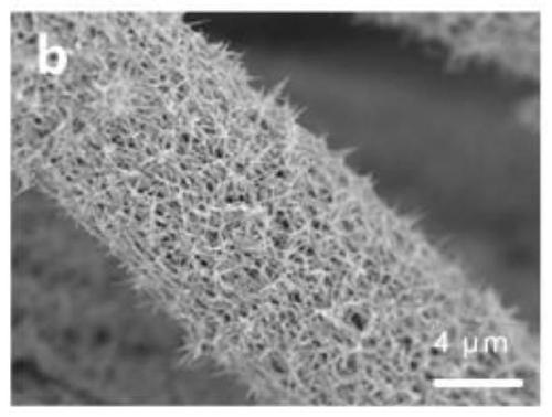 Phosphorus-doped tungsten sulfide@tungsten oxide porous core-shell nanowire flexible array electrode and preparation method thereof