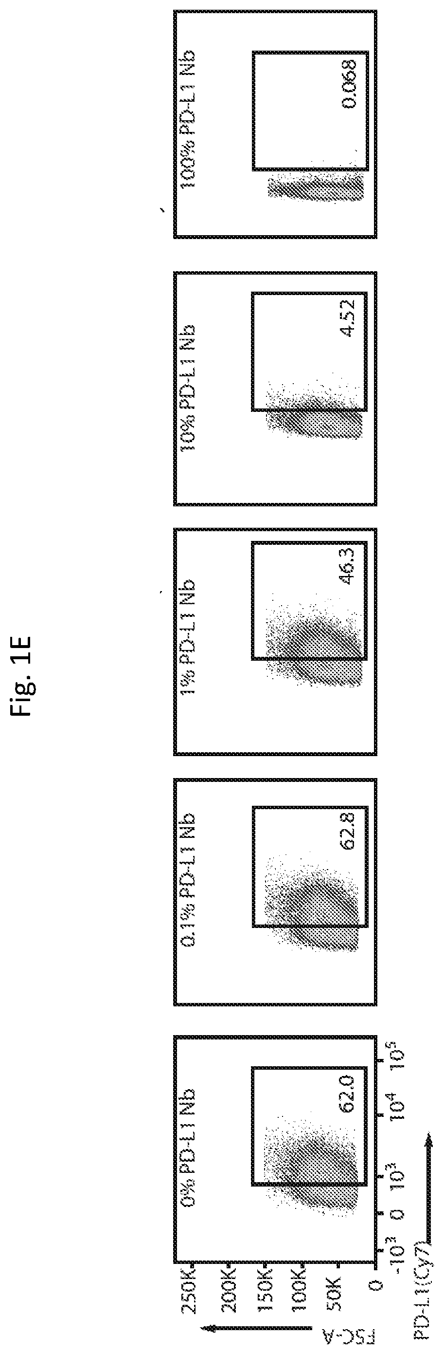 Programmable bacteria for the treatment of cancer