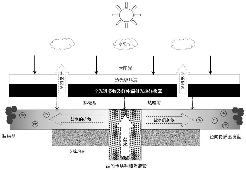 Near-field radiation solar evaporator capable of continuously desalting seawater and synchronously recovering salt