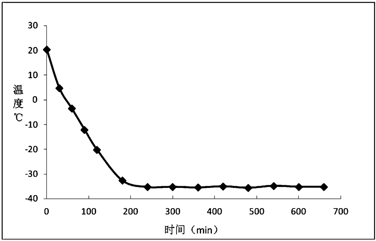 Synsepalum dulcificum ferment stock solution and preparation method and use thereof, synsepalum dulcificum ferment freeze-dried powder and preparation method and use thereof