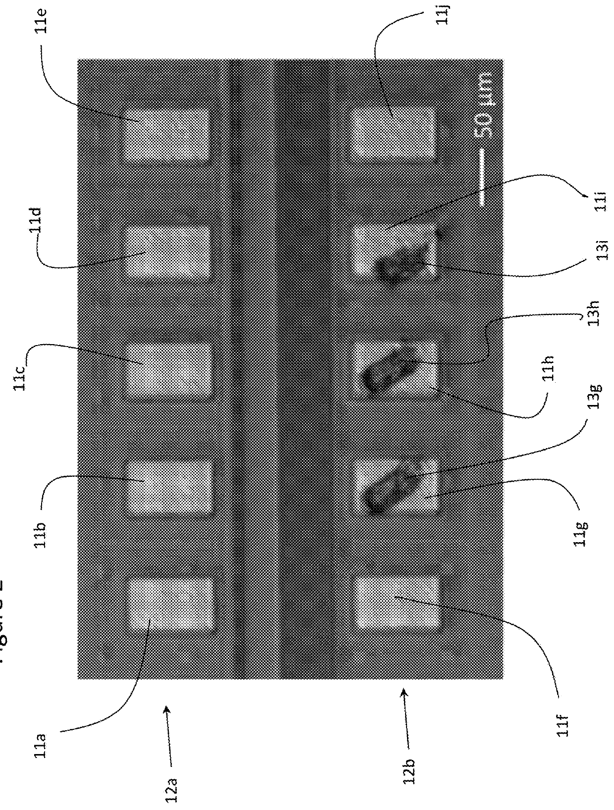 Chip identification system