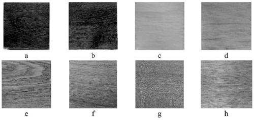 Water-borne wood colorant and coloring method